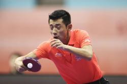 lol战绩查询-波兰队碾压奥地利队，张继科统治全场