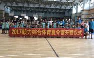 lol战绩查询-篮球训练营现场现状详情，球员毅力领先的简单介绍